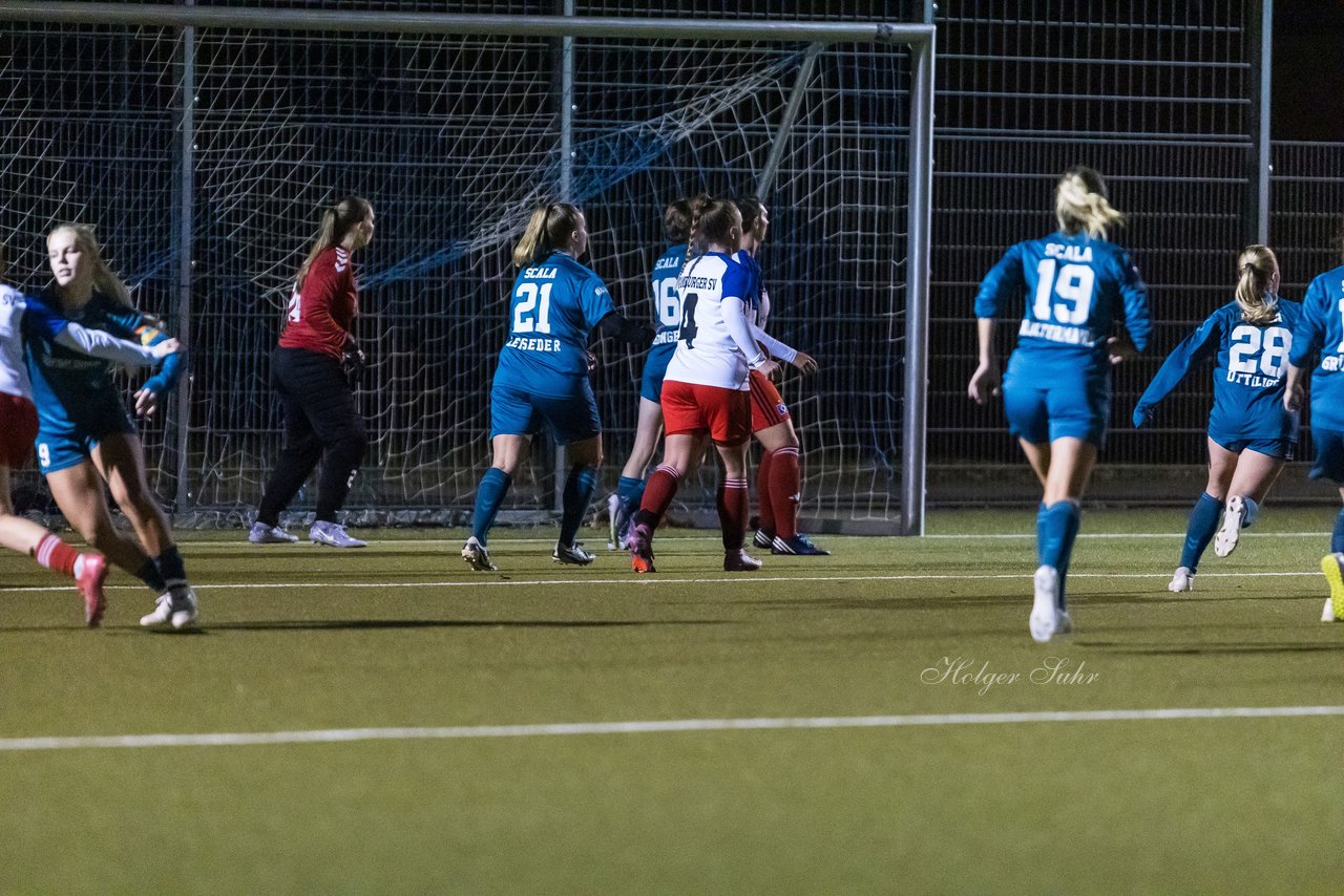 Bild 447 - F SC Alstertal-Langenhorn - Hamburger SV 3 : Ergebnis: 2:2